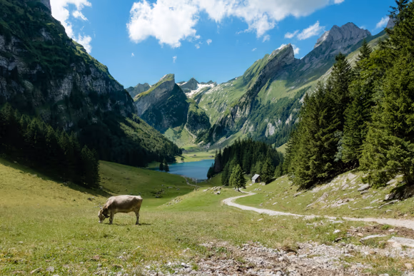 Idyllische Schweizer Berglandschaft